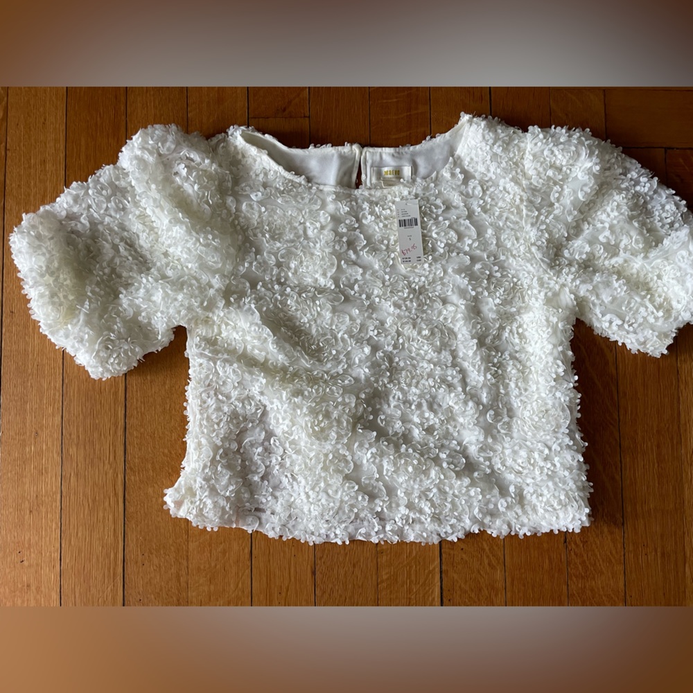 Anthropology shirt